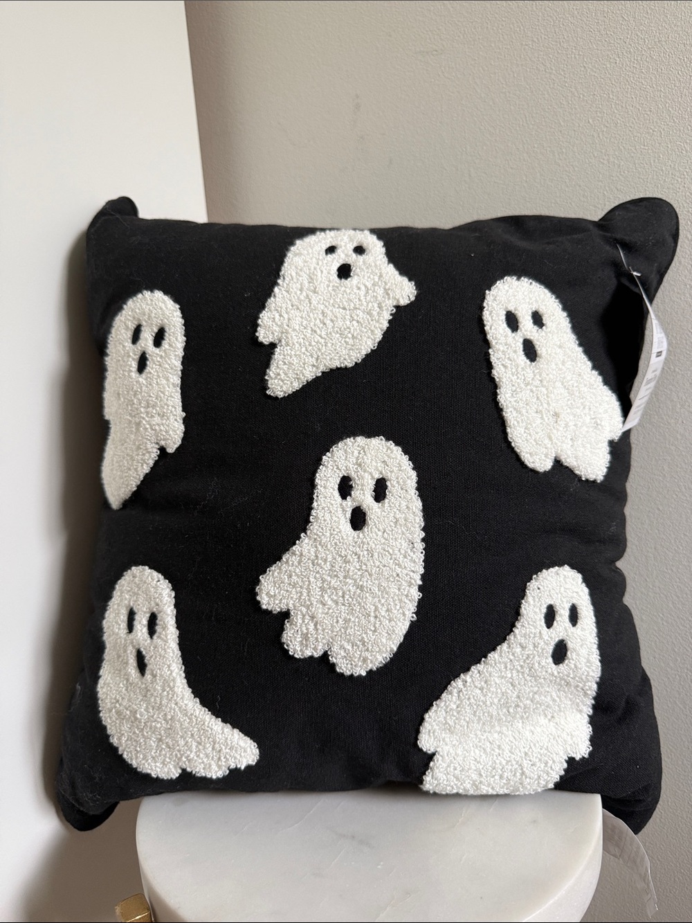 My Texas House Embroidered Ghost Pillow